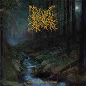Infernal Coil - Within A World Forgotten flac album
