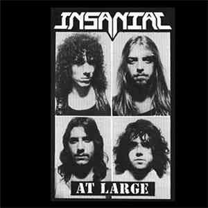 Insaniac  - At Large flac album