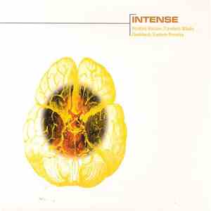Intense - Positive Notions EP flac album