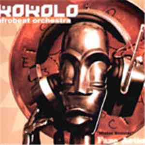 Kokolo Afrobeat Orchestra - Mister Sinister flac album