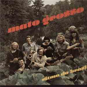 Mato Grosso  - Ritmo Do Brasil flac album