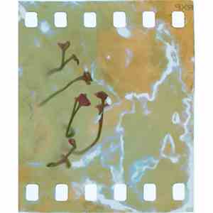 Mink Freud - Gelatinous flac album