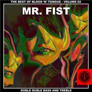 Mr. Fist - Duble Duble Bass And Treble flac album