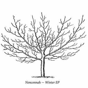 Nonconnah - Winter EP flac album