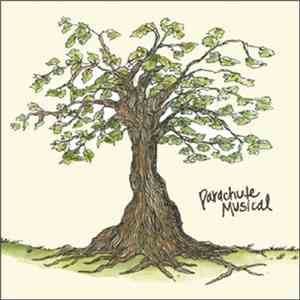Parachute Musical - Everything Is Working Out Fine In Some Town flac album