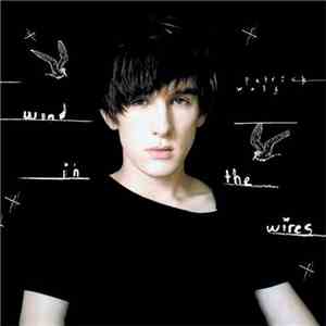 Patrick Wolf - Wind In The Wires flac album