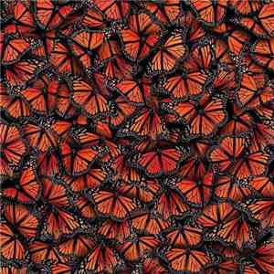 Paul Woolford - Metamorphosis flac album