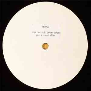 Raul Rincon - Just A Mash Affair flac album