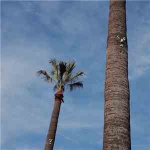 So Stressed - Please Let Me Know flac album