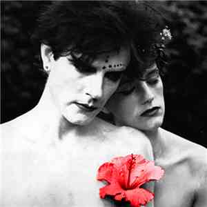 Steve Kilbey - Artifacts flac album
