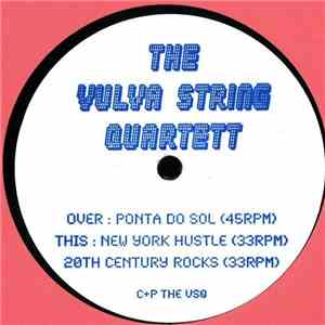 The Vulva String Quartett - New York Hustle flac album