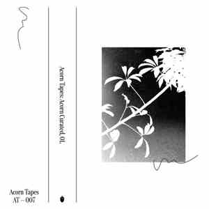 Various - Acorn Curated 01 flac album
