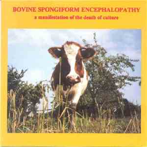 Various - Bovine Spongiform Encephalopathy flac album