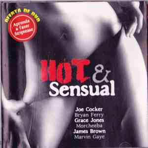 Various - Hot & Sensual flac album