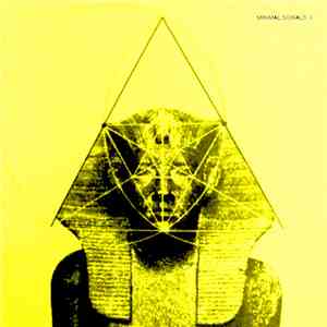 Various - Minimal Signals II flac album