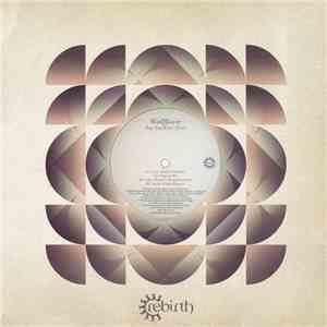 Wallflower  - Say You Won't Ever flac album