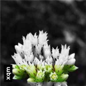 xqm - Session #19 || 2016​​​​​-​​​​​07-22 flac album