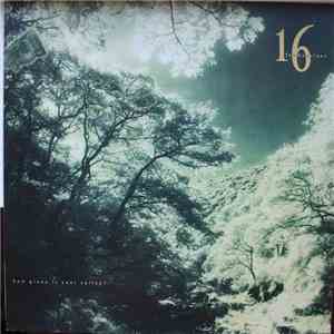 16 Tambourines - How Green Is Your Valley ? flac album