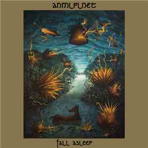 ANMLPLNET - Fall Asleep flac album