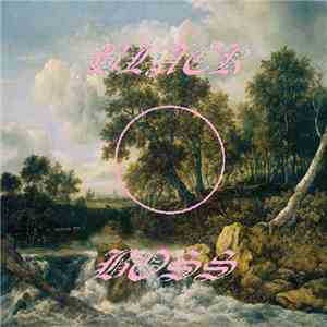 Black Boss - Practical Dissemination Of The Blind flac album