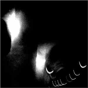 Coppice Halifax - Dissendilo flac album