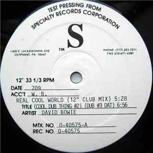 David Bowie - Real Cool World flac album
