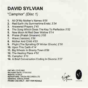 David Sylvian - Camphor flac album