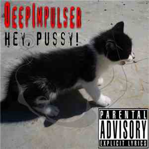 Deepimpulser - Hey, Pussy! flac album