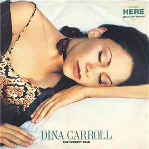 Dina Carroll - The Perfect Year flac album