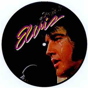 Elvis Presley - The Sound Of Your Cry flac album