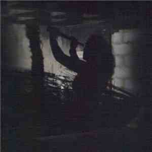 Áine O'Dwyer - Anything Bright Or Startling? flac album