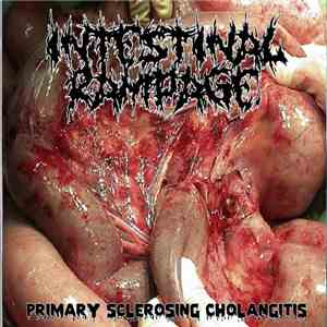 Intestinal Rampage - Primary Sclerosing Cholangitis flac album