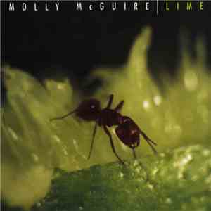 Molly McGuire  - Lime flac album