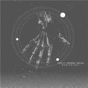 Morphology - Identity Component Remixes flac album