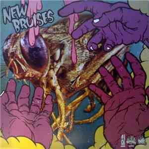 New Bruises / Stolen Bikes Ride Faster - New Bruises / Stolen Bikes Ride Faster flac album