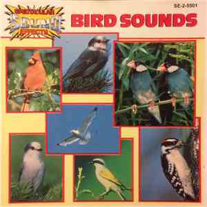 No Artist - Bird Sounds flac album