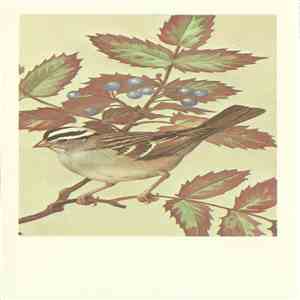 No Artist - White-Crowned Sparrow flac album