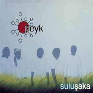 Peyk - Sulu Şaka flac album