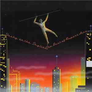 Rupert Hine - Unshy On The Skyline - The Best Of Rupert Hine flac album