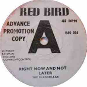 The Shangri-Las - Right Now And Not Later / The Train From Kansas City flac album