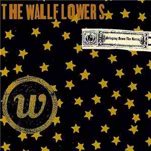 The Wallflowers - Bringing Down The Horse flac album