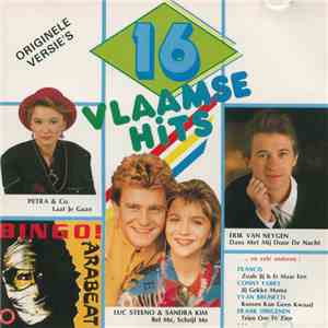 Various - 16 Vlaamse Hits flac album