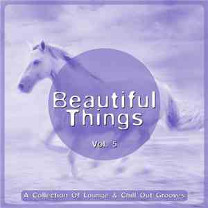 Various - Beautiful Things, Vol. 5 (A Collection Of Lounge & Chill Out Grooves) flac album