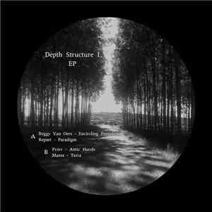 Various - Depth Structure I EP flac album