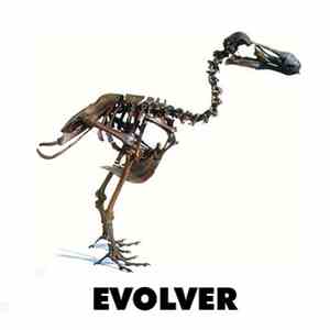 Various - Evolver flac album