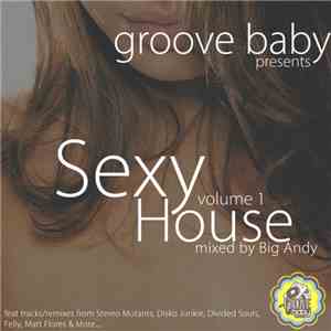 Various - Groove Baby Presents Sexy House Volume 1 flac album