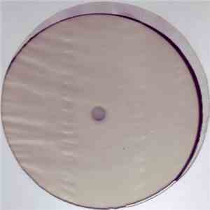 Various - The Project flac album