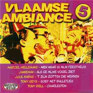 Various - Vlaamse Ambiance 5 flac album