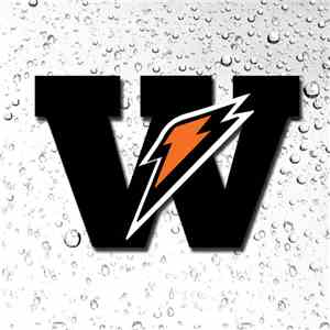 Wave Chapelle - W flac album