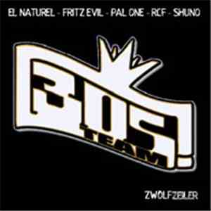 305 Team - Zwölfzeiler flac album